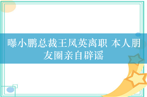 曝小鹏总裁王凤英离职 本人朋友圈亲自辟谣