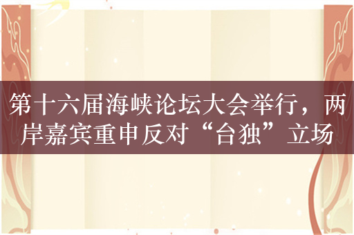 第十六届海峡论坛大会举行，两岸嘉宾重申反对“台独”立场