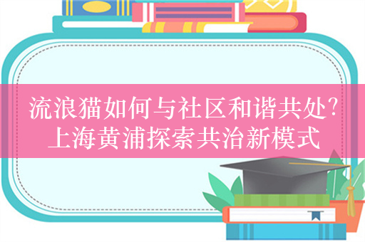 流浪猫如何与社区和谐共处？上海黄浦探索共治新模式