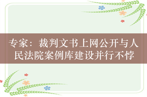 专家：裁判文书上网公开与人民法院案例库建设并行不悖