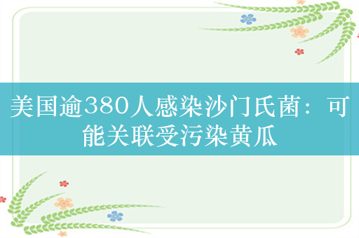 美国逾380人感染沙门氏菌：可能关联受污染黄瓜