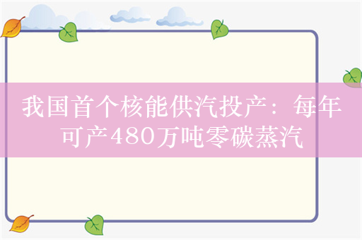 我国首个核能供汽投产：每年可产480万吨零碳蒸汽