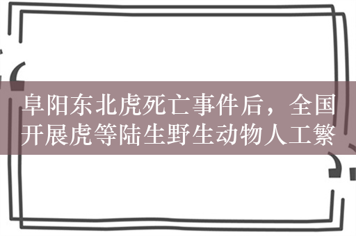 阜阳东北虎死亡事件后，全国开展虎等陆生野生动物人工繁育专项整治