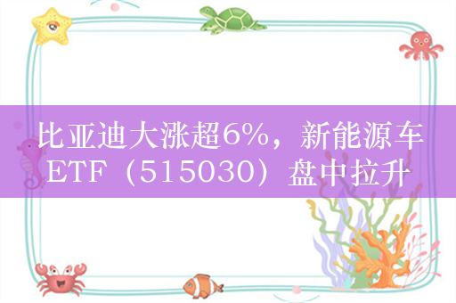比亚迪大涨超6%，新能源车ETF（515030）盘中拉升
