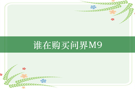 谁在购买问界M9