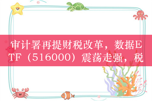 审计署再提财税改革，数据ETF（516000）震荡走强，税友股份涨停