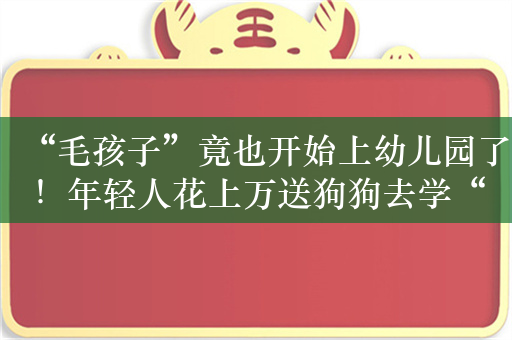 “毛孩子”竟也开始上幼儿园了！年轻人花上万送狗狗去学“装死”