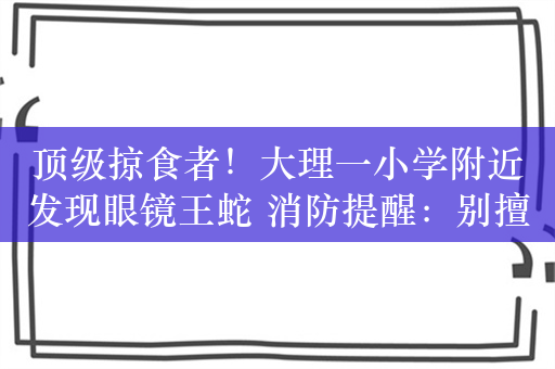 顶级掠食者！大理一小学附近发现眼镜王蛇 消防提醒：别擅自抓