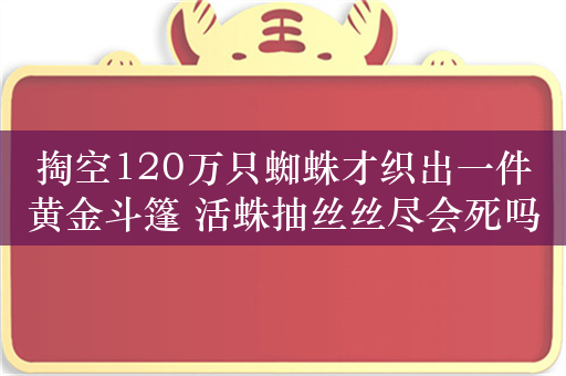 掏空120万只蜘蛛才织出一件黄金斗篷 活蛛抽丝丝尽会死吗？