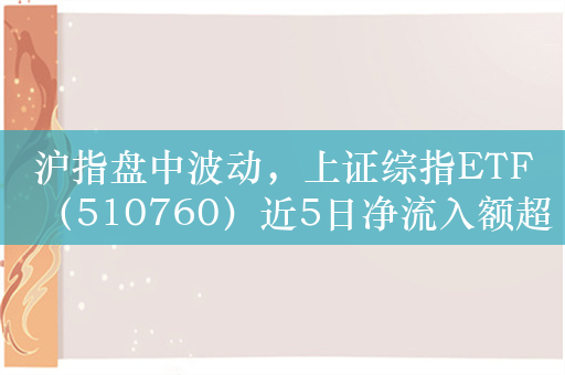 沪指盘中波动，上证综指ETF（510760）近5日净流入额超4.6亿元