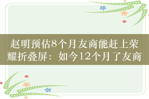 赵明预估8个月友商能赶上荣耀折叠屏：如今12个月了友商还停留在厘米时代