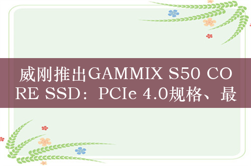 威刚推出GAMMIX S50 CORE SSD：PCIe 4.0规格、最大2TB