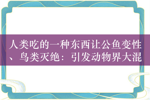 人类吃的一种东西让公鱼变性、鸟类灭绝：引发动物界大混乱