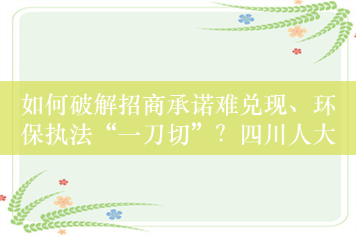 如何破解招商承诺难兑现、环保执法“一刀切”？四川人大开展专题询问