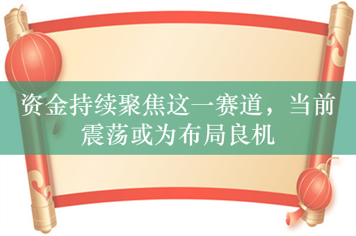 资金持续聚焦这一赛道，当前震荡或为布局良机