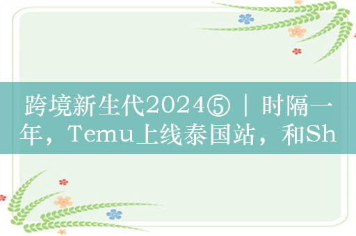 跨境新生代2024⑤ | 时隔一年，Temu上线泰国站，和Shopee、Lazada 必有一战？