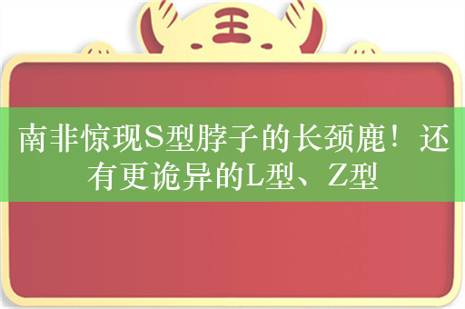 南非惊现S型脖子的长颈鹿！还有更诡异的L型、Z型