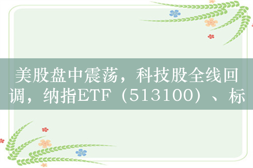 美股盘中震荡，科技股全线回调，纳指ETF（513100）、标普500（159612）均跌超4%