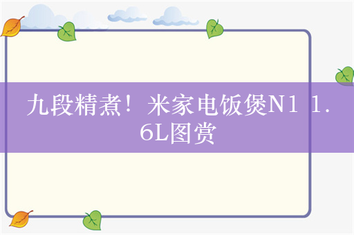 九段精煮！米家电饭煲N1 1.6L图赏