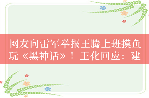 网友向雷军举报王腾上班摸鱼玩《黑神话》！王化回应：建议主动发老板群检讨