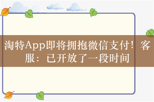 淘特App即将拥抱微信支付！客服：已开放了一段时间