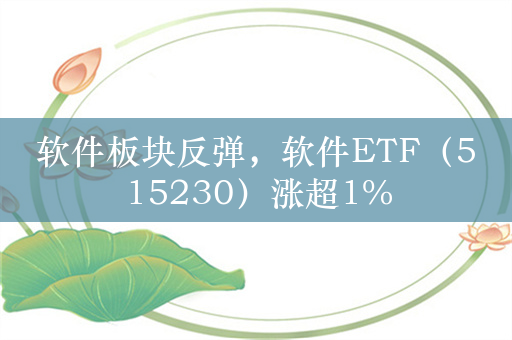 软件板块反弹，软件ETF（515230）涨超1%