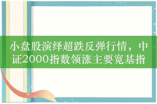 小盘股演绎超跌反弹行情，中证2000指数领涨主要宽基指数