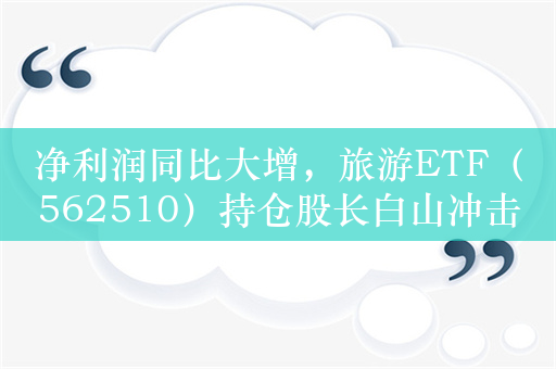 净利润同比大增，旅游ETF（562510）持仓股长白山冲击涨停