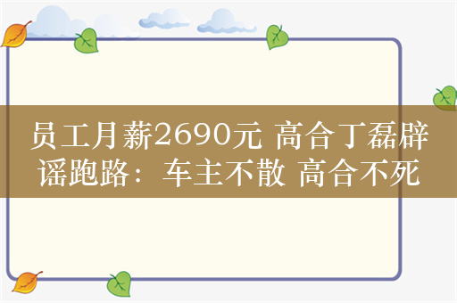 员工月薪2690元 高合丁磊辟谣跑路：车主不散 高合不死