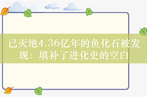 已灭绝4.36亿年的鱼化石被发现：填补了进化史的空白