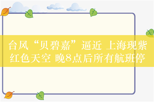 台风“贝碧嘉”逼近 上海现紫红色天空 晚8点后所有航班停飞