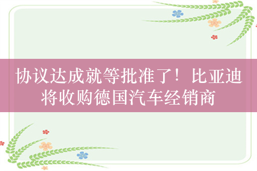 协议达成就等批准了！比亚迪将收购德国汽车经销商