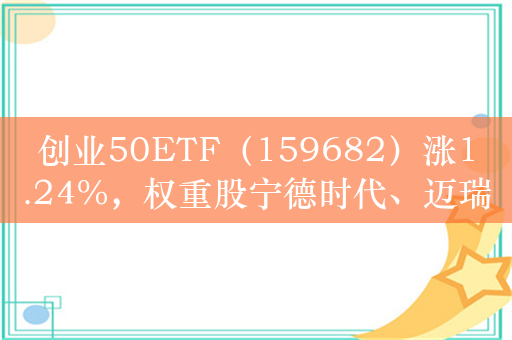 创业50ETF（159682）涨1.24%，权重股宁德时代、迈瑞医疗等悉数上涨