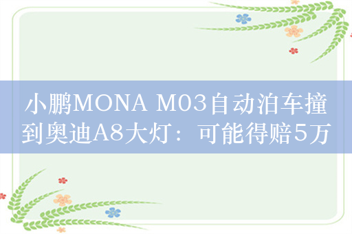 小鹏MONA M03自动泊车撞到奥迪A8大灯：可能得赔5万！小鹏回应