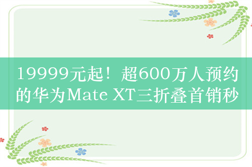 19999元起！超600万人预约的华为Mate XT三折叠首销秒售罄