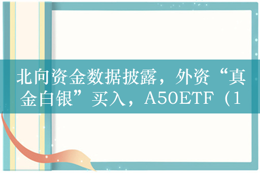 北向资金数据披露，外资“真金白银”买入，A50ETF（159601）持续获益