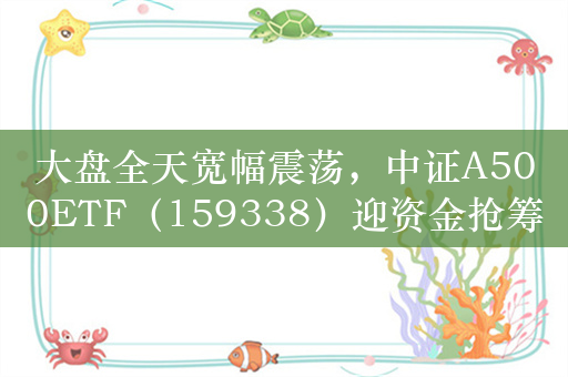 大盘全天宽幅震荡，中证A500ETF（159338）迎资金抢筹，今日成交额超26亿元，上市四日净流入超53亿元