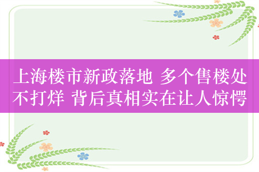 上海楼市新政落地 多个售楼处不打烊 背后真相实在让人惊愕