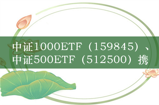 中证1000ETF（159845）、中证500ETF（512500）携手涨超1%，彰显中小盘弹性，分化阶段优势显现