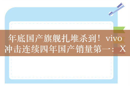 年底国产旗舰扎堆杀到！vivo冲击连续四年国产销量第一：X200系列要来了