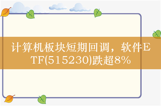 计算机板块短期回调，软件ETF(515230)跌超8%