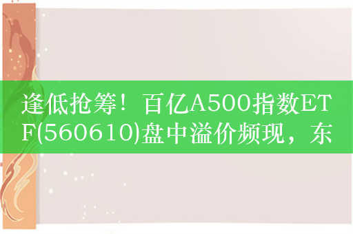 逢低抢筹！百亿A500指数ETF(560610)盘中溢价频现，东方盛虹、德业股份、金博股份逆市走高