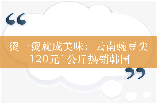 烫一烫就成美味：云南豌豆尖120元1公斤热销韩国