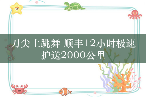 刀尖上跳舞 顺丰12小时极速护送2000公里