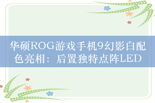 华硕ROG游戏手机9幻影白配色亮相：后置独特点阵LED