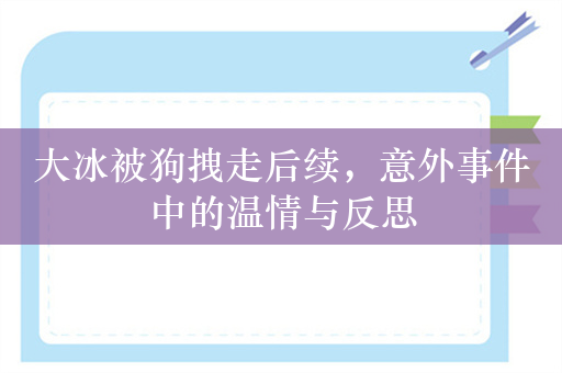 大冰被狗拽走后续，意外事件中的温情与反思