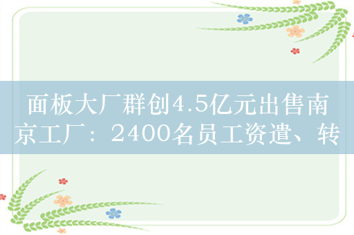 面板大厂群创4.5亿元出售南京工厂：2400名员工资遣、转职