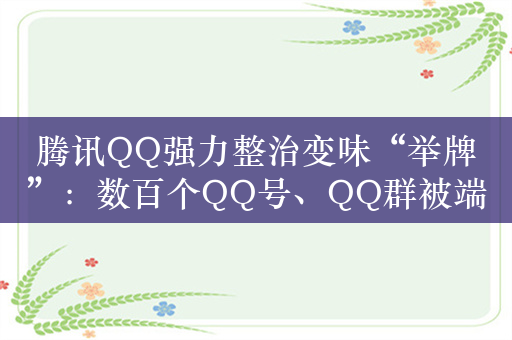 腾讯QQ强力整治变味“举牌”：数百个QQ号、QQ群被端