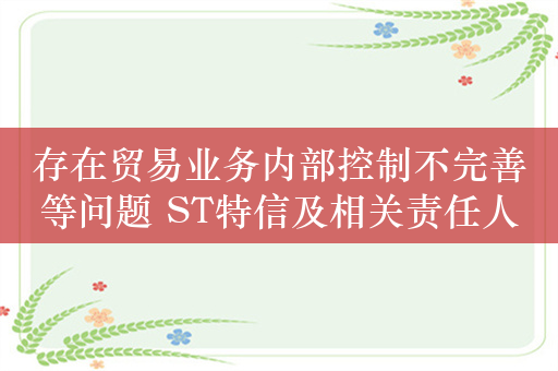 存在贸易业务内部控制不完善等问题 ST特信及相关责任人被采取行政监管措施