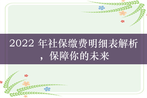 2022 年社保缴费明细表解析，保障你的未来